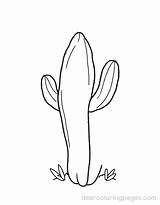 Cactus Coloring Pages  19 Free Printable sketch template
