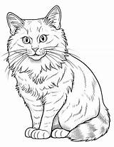 49  Top Cat Coloring Pages Printable Craze sketch template