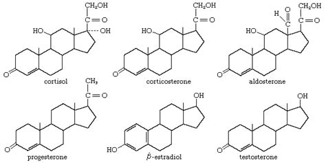 Steroid Definition Structure And Types Britannica | Free Hot Nude Porn Pic Gallery