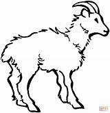 Goat Printables Coloring Pages  Home sketch template