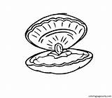 30  Clam Coloring Pages Free Printable PDF & Online sketch template