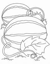 Two Watermelons coloring Page  Download Print Or Color Online For Free sketch template