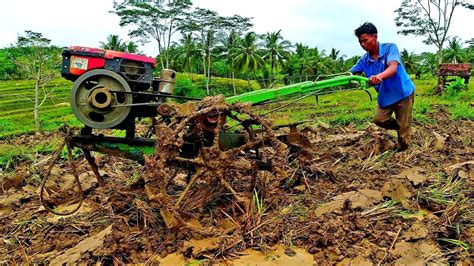 Agricultural Machinery Traktor Sawah Traktor sawah - Rice field tractor #0074 - YouTube