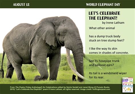 "Let's Celebrate the Elephant!" with this poem by Irene Latham from THE ...