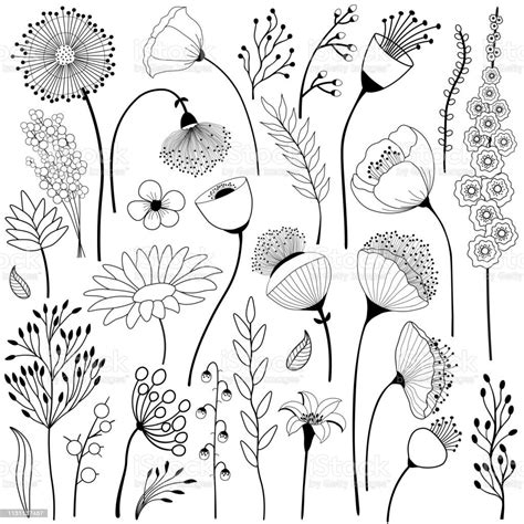 Set of abstract flowers in black and white | Doodle art flowers, Flower ...