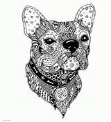 Complex Animal Coloring Pages  COLORING PAGES PRINTABLECOM sketch template