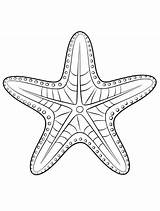 Fish Coloring Pages Free Printable And Fun For Kids sketch template