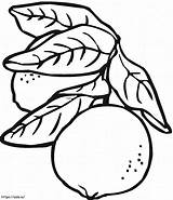 Two Lemons With Leaves coloring Page sketch template