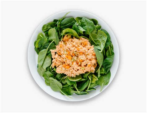 Tuna Salad, HD Png Download - kindpng