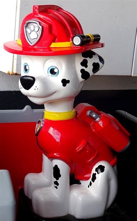 Dalmation Puppy Dog Firefighter Free Stock Photo - Public Domain Pictures