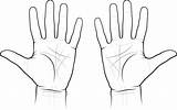 Hands Royalty Free Vector Image  VectorStock sketch template