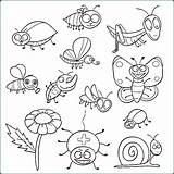 Bugs Coloring Pages Printables Free At Tanlexieblog Blog sketch template