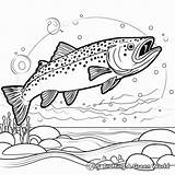 Brook Trout Coloring Pages  Free & Printable sketch template