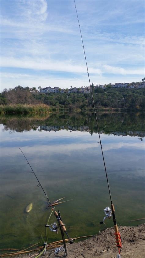 Winter Trout Fishing Near Los Angeles | Lakes in california, Trout fishing, Los angeles sunset