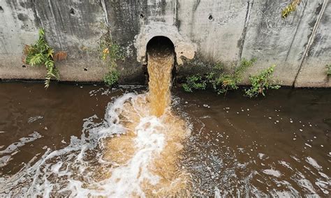 Pollution in London’s Thames – The one-handed economist