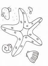 Free Printable Starfish Coloring Pages For Kids sketch template