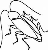 Free Printable Cockroach Coloring Pages For Kids sketch template