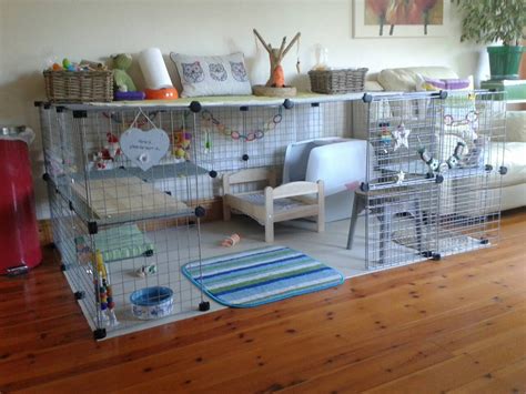 Best Indoor Rabbit Cage at Edward Kershner blog