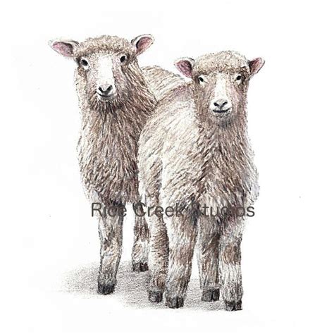 christmas gift for mom/christmas gift for her/baby lambs/baby sheep/sheep art/sheep painting ...