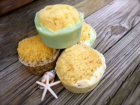 Unique Gift Bath Sponge Soap Sea Sponge Exfoliating Soap