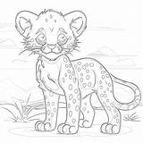 Cheetah Coloring Pages Free  Mimi Panda sketch template