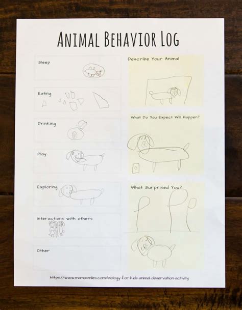 Animal Science Biology for Kids: Animal Observation Log