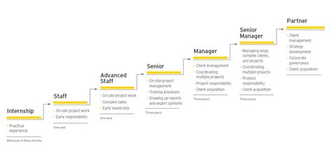 Definition Finance Career Ladder / Career Ladder Of Financial Analyst ...