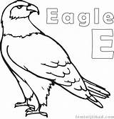 Eagle Coloring Images sketch template
