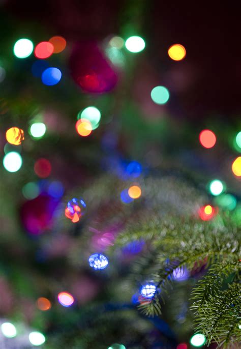Image of Christmas lights background bokeh | Freebie.Photography