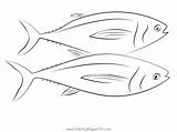 Tuna Fish Coloring Page sketch template