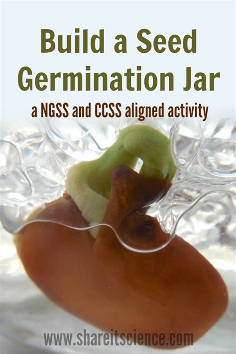 Share it! Science : DIY Seed Germination Jar: A Must-Have for Your Plant Unit!