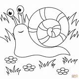 Cute Snail coloring Page  Free Printable Coloring Pages sketch template