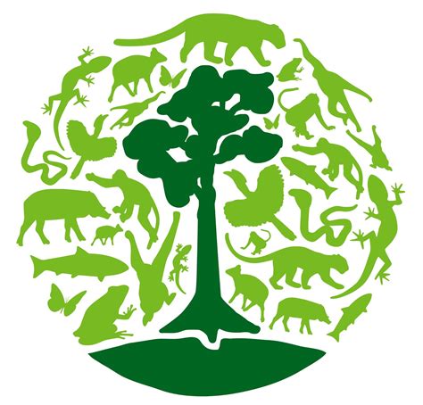 The Orangutan Tropical Peatland Project: Species Series: Exploring our logo, silhouette by ...