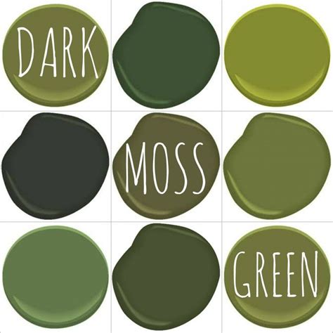 COLOR ON TREND – DEEP MOSSY OLIVE GREEN | Green house exterior, House paint exterior, Olive ...