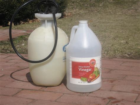 HOMESTEAD PREPPING SURVIVALING: VINEGAR = WEED KILLER