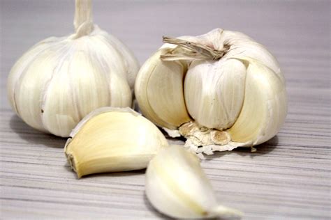 Garlic Free Stock Photo - Public Domain Pictures
