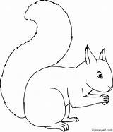 Squirrel Coloring Pages 85 Free Printables  ColoringAll sketch template