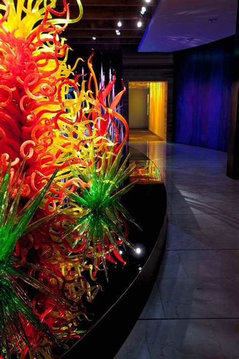 The Chihuly Collection at the Morean Arts Center - Architizer