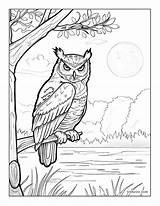 Night Owl Coloring Pages Printable – Shinzoocom sketch template