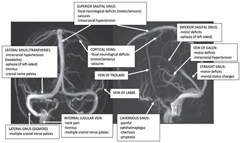 Life | Free Full-Text | An Integrated Approach on the Diagnosis of ...