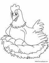 Chicken Egg Coloring Pages sketch template