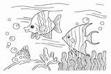 Cute Angelfish Coloring Pages  Angelfish Coloring Pages Coloring sketch template