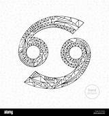 Cancer zodiac sign Vector Hand Drawn horoscope Illustration  sketch template
