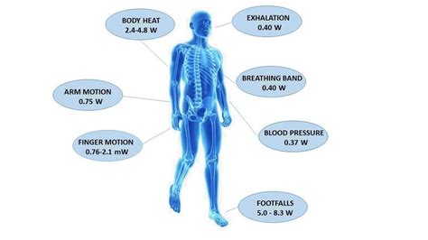 Human body energy sources and related power | Download Scientific Diagram