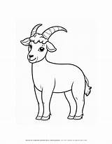 Cute Happy Goat Coloring Page A Creativity Boost For Kids sketch template