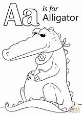 Letter A Is For Alligator coloring Page  Free Printable Coloring Pages sketch template