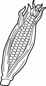 FREE Printable Ear Of Corn Coloring Page For Kids – SupplyMe sketch template