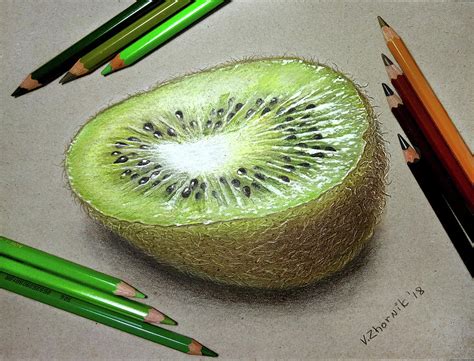 Kiwi Fruit Drawing at PaintingValley.com | Explore collection of Kiwi Fruit Drawing