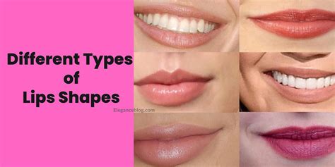 Lip Shapes Names