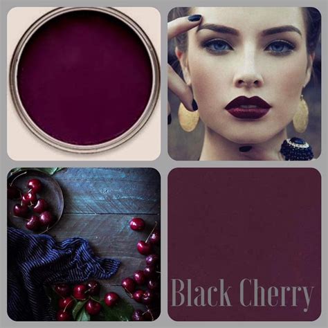 Black Cherry Paint Color Charts